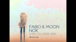 DJ Fabio, Moon & NOK - Reborn - Official