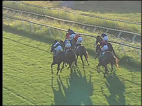 Galoppo 29/07/2016 - 2° corsa