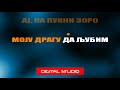 Pukni zoro - Karaoke version with lyrics