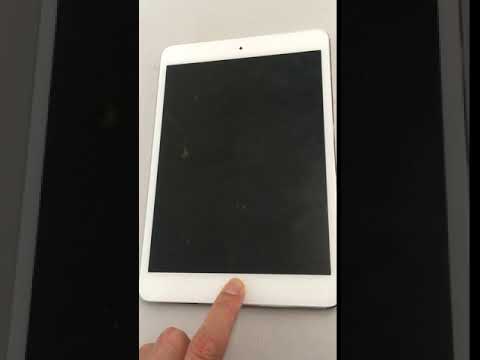 ipad screen not working