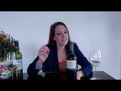 Sauvignon Blanc with Civil Wines