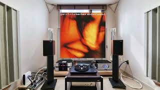 Company - Patricia Barber