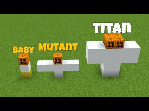 I FOUGHT All SNOW Golems in Minecraft