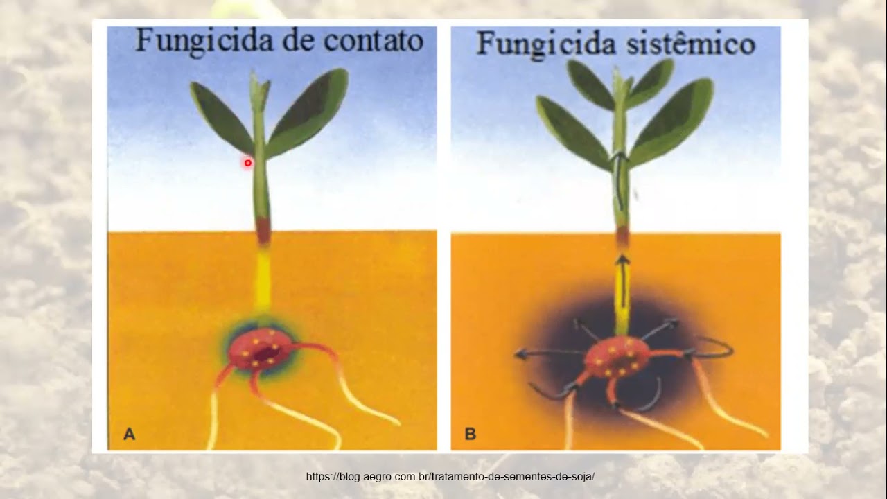 AULA 06 TRATAMENTO QUÍMICO DE SEMENTES