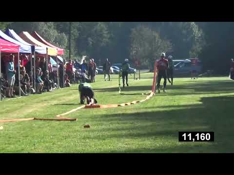 m10 SDH OBRUBCE - JL KOŠŤÁLOV 2024