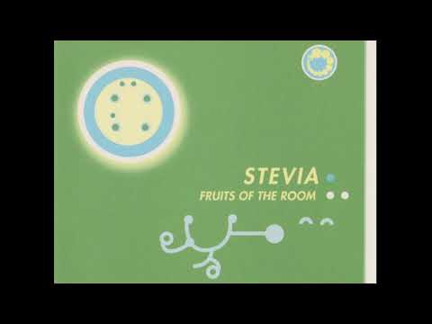 Stevia aka Susumu Yokota - Some Questions