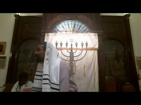 Mincha Ketana מִנְחָה קְּטַנָּה - B’reisheet / בְּרֵאשִׁית