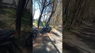 Download lagu pantai Cemara jajar Tegal Kamulyan Cilacap Jawa Tengah mp3 Download lagu pantai Cemara jajar Tegal Kamulyan Cilacap Jawa Tengah mp3