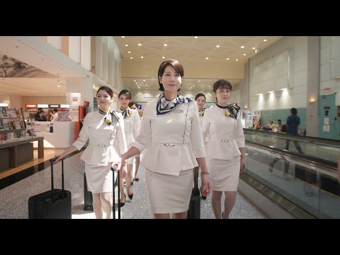 《空姐復仇記》預告片：官方預告