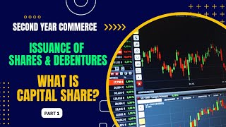 What is Share Capital  Accounts  Issuance of Share