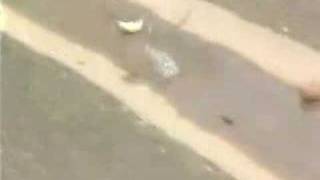 Congreso / En todas las esquinas