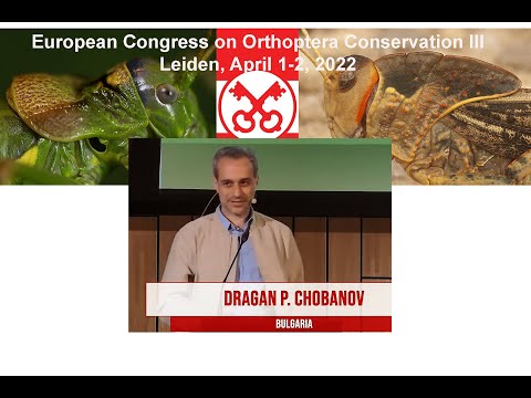 5. Dragan Chobanov: New records of Orthoptera from Bulgaria with focus on the steppe inhabitants