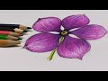 Pink Periwinkle Flower How To Draw Flower How To Draw Pink Periwinkle Flower Easy Flower Drawing