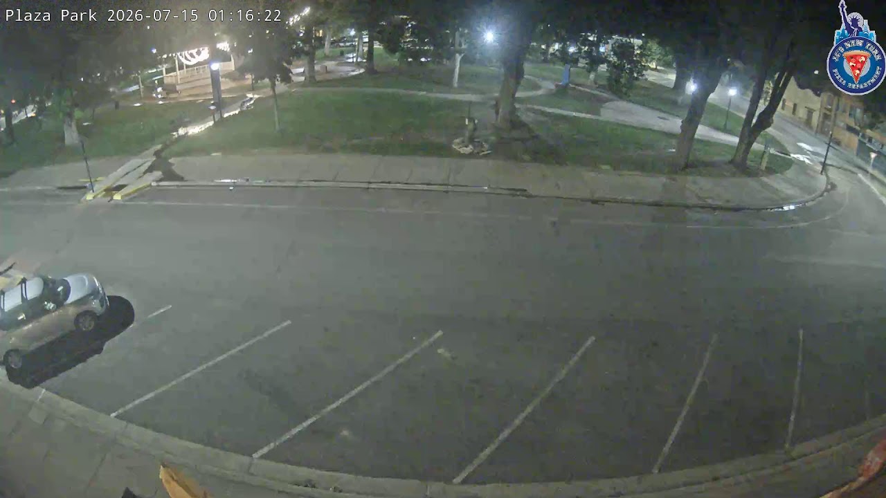 Live webcam view of Historic Plaza Park Rooftop View