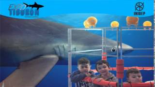 DIA 3 Expo Tiburon16