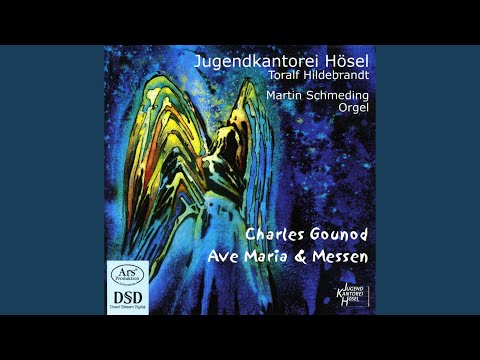 Mass in C Major, "Messe breve No. 7 aux chapelles": Agnus Dei
