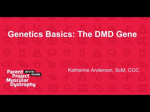 Genetics Basics: The DMD Gene