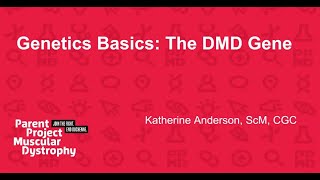 Genetics Basics: The DMD Gene
