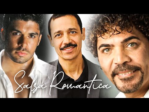 Vive Salsa y Bachata and 3 more