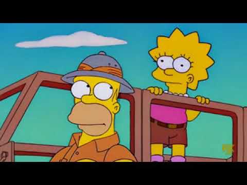 ¿Que acabas de ver Lisa? - Frases Homero & Cia
