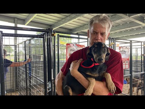 A Rescue in Louisiana: Hal's Story