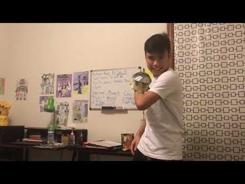 HOMEMADE PROTOTYPE EXPANDABLE PERCY JACKSON SHIELD!!!