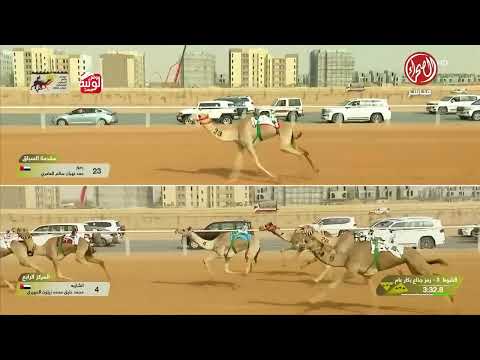 كأس ش 3 (ضبابه) لـ عبدالهادي خليل بن منصور الهاجري 9:02:88 ,مهرجان خادم الحرمين 2026/1/28 ايذاع الج