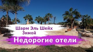 Отдых зимой Шарм Эль Шейх. Недорогие Отели