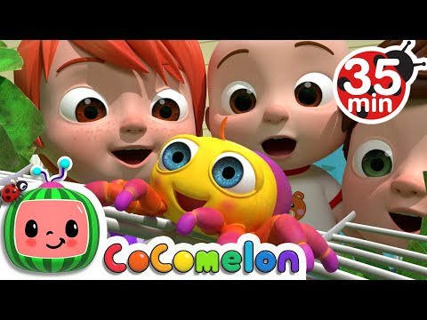 Itsy Bitsy Spider | +More Nursery Rhymes & Kids Songs – CoCoMelon