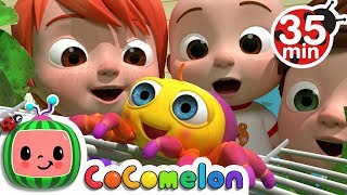 Itsy Bitsy Spider | +More Nursery Rhymes &amp; Kids Songs - CoCoMelon