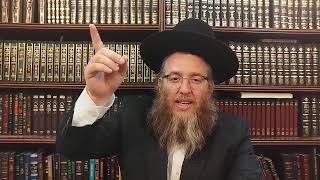 רשב''י לכל בלי מאכערים | דקת דבש מהצדיק הרב דב קוק שליט"א