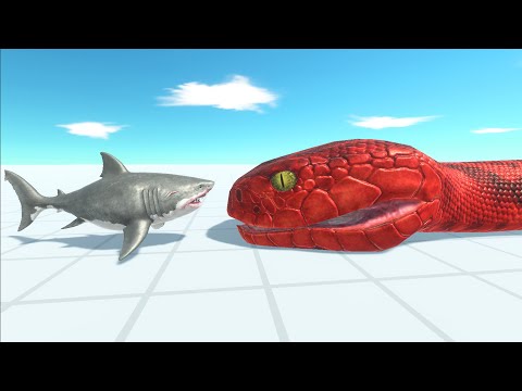 Baby Megalodon vs Reptiles and Modern Mammals - Animal Revolt Battle Simulator
