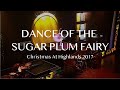 Dance of the Sugar Plum Fairy