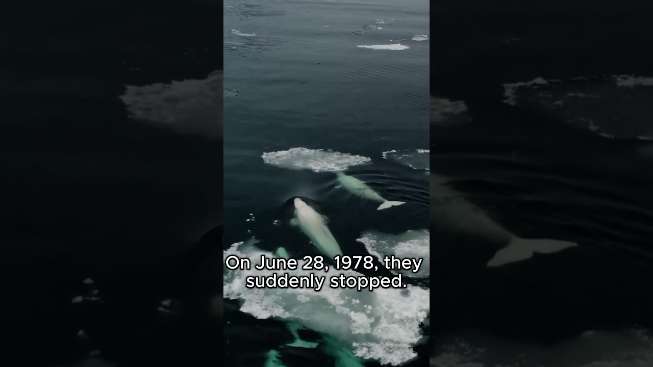 What did NASA find in the ocean?