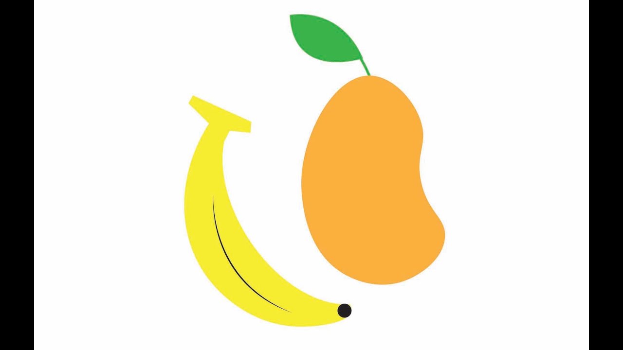 vector fruits drawing or illustration