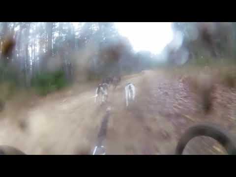 Vesa-Pekka Lehtomäki Latvia DR6 2018