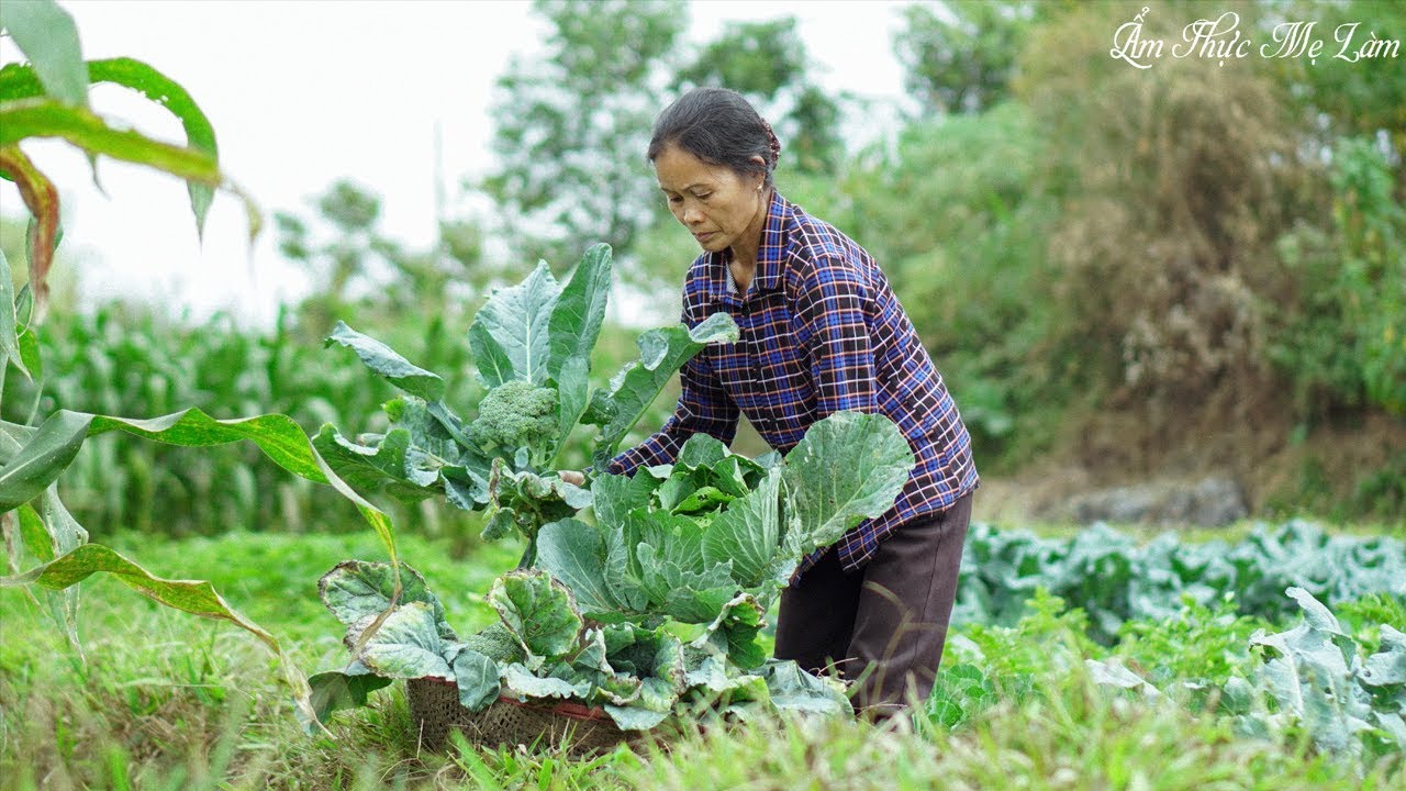 Cách Làm Lẩu Gà Miền Bắc