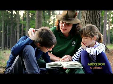 Vydejte se s dětmi do lesa s knihou Abecedou za přírodou