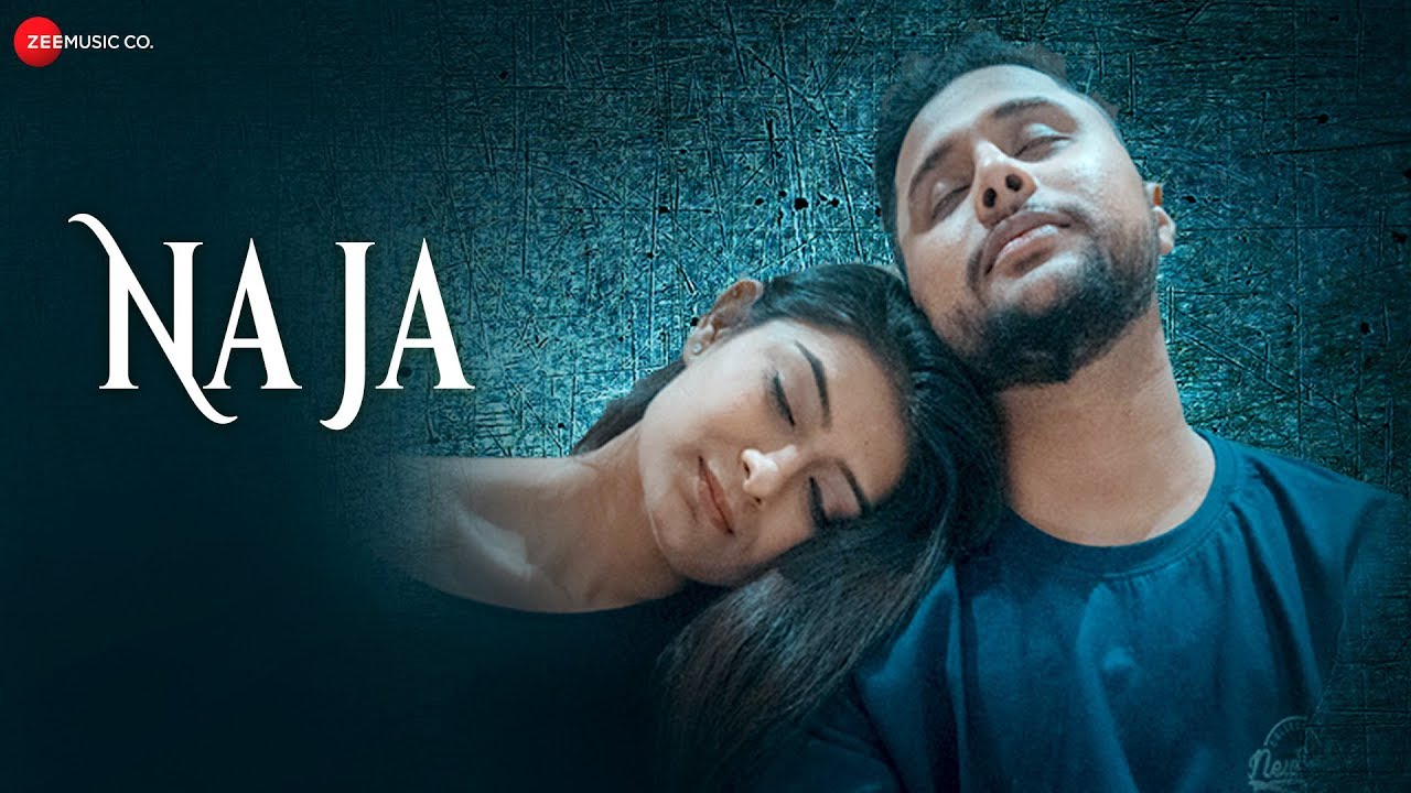 Na Ja Lyrics  | Na Ja | Ayush Mishra | Ayush Mishra | Rahul-Ayush