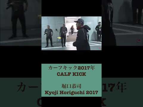 【堀口恭司】カーフキック2017年版【RIZIN切り抜き】Kyoji Horiguchi Great Calf Kick