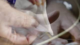 Martin Guitar LUXE Detailer