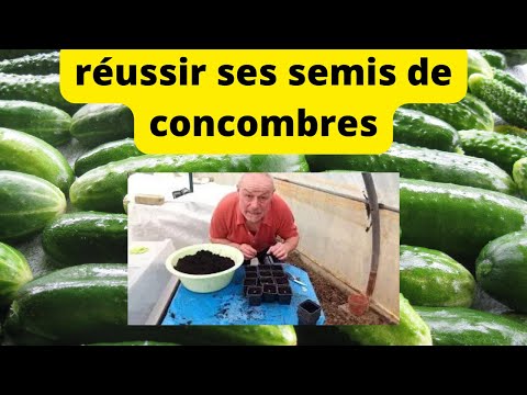 , title : 'comment semer vos concombre au potager'