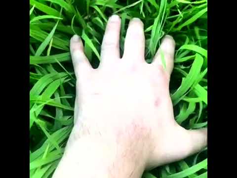 How To Touch Grass