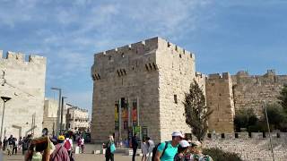 Holy Land Man in Jerusalem the city of King David