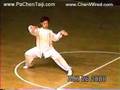 Chen Taijiquan Demo From Chen Xiaowang S Son Chen Pengfei