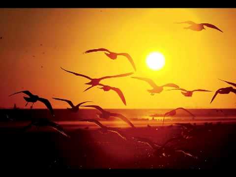 D-Air - Abrente (Ambient Mix)