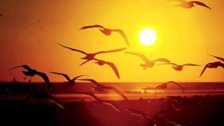 D-Air - Abrente (Ambient Mix)