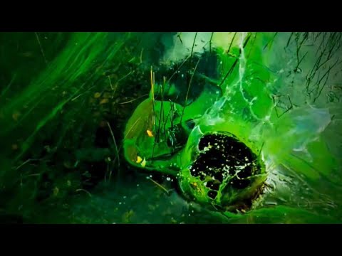 CET - BILLION DOLLAR SYSTEM (Official Music Video)