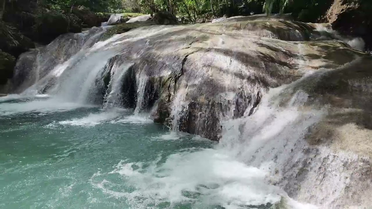 Experience a captivating glimpse of Kawasan Falls.