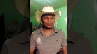 GAGES DEL OFICIO... BRONCO